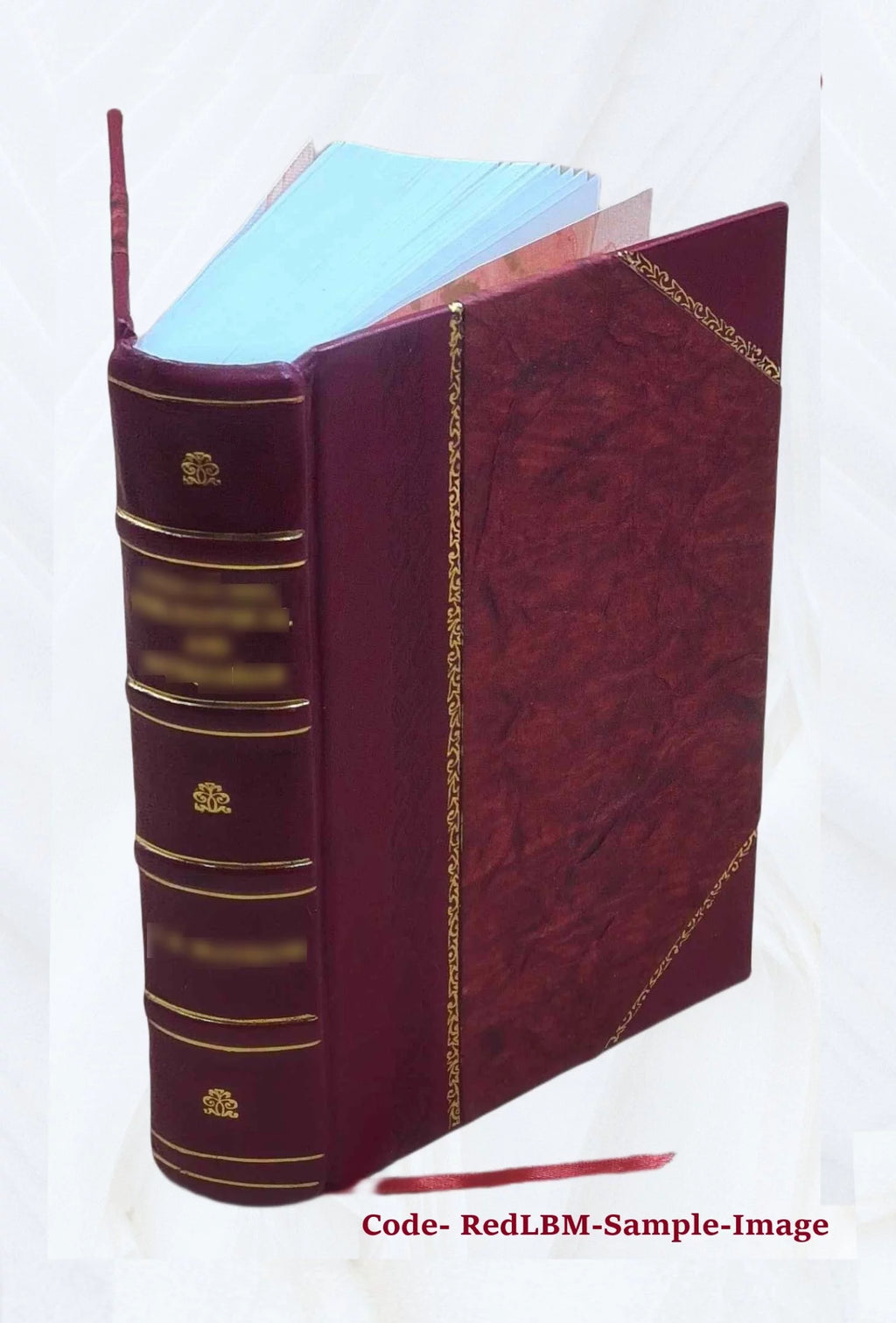 Therapeutics Handbook S216081