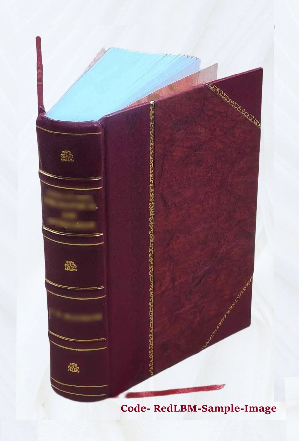 Therapeutics Handbook S216081