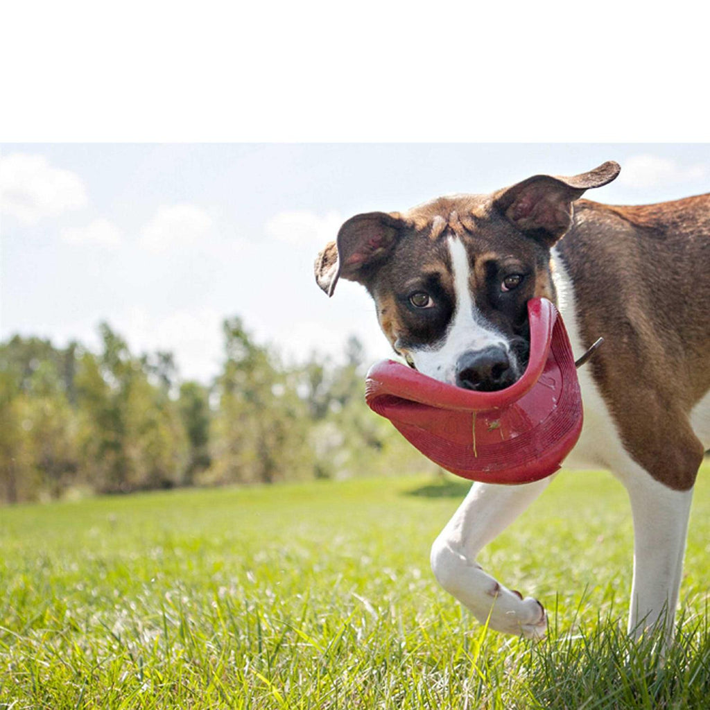 Dog Toy S52877