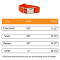 Personalized Dog Collars H169