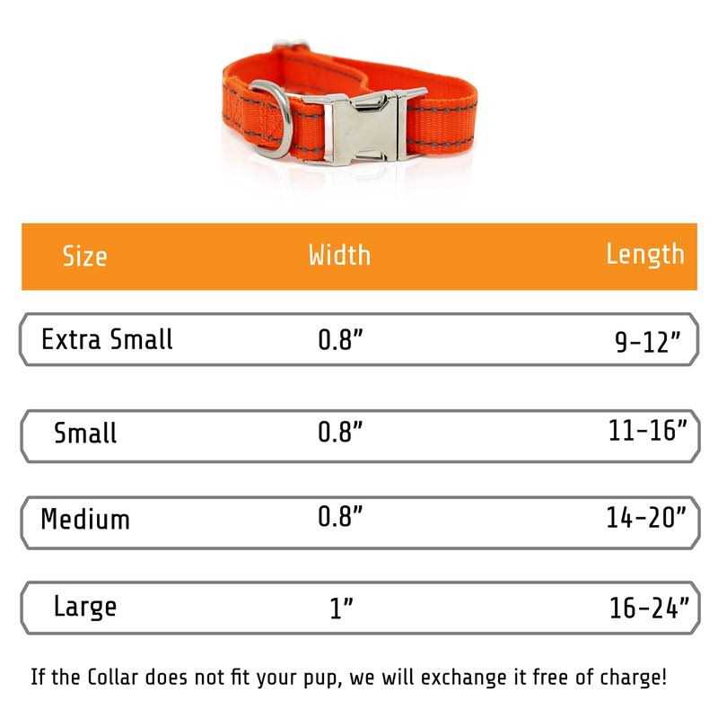 Personalized Dog Collars H169