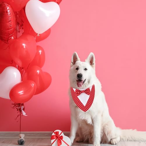 Red Plaid Dog Christmas Collar with Bowtie N30902
