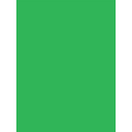 10x20ft Green Background W5139