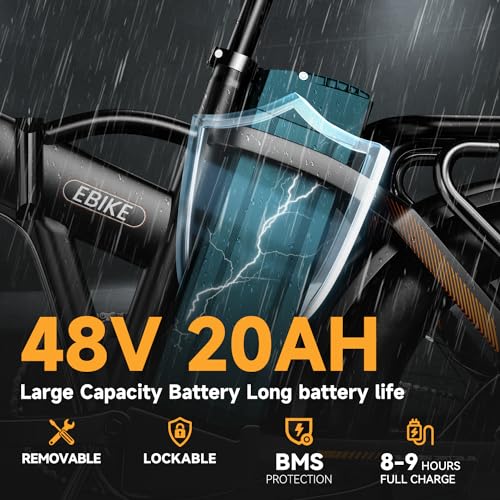 20" Fat Tire 1000W Electric Bike with 48V 20AH Removable Battery H53866