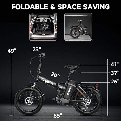 20" Fat Tire 1000W Electric Bike with 48V 20AH Removable Battery H53866
