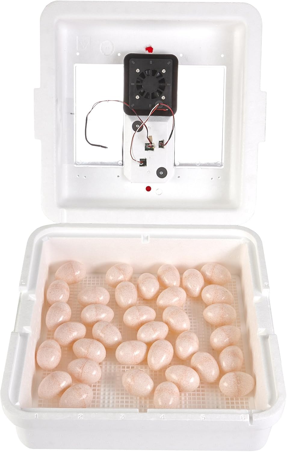 41 Egg Incubator with Fan and Temperature and Humidity Control U6129