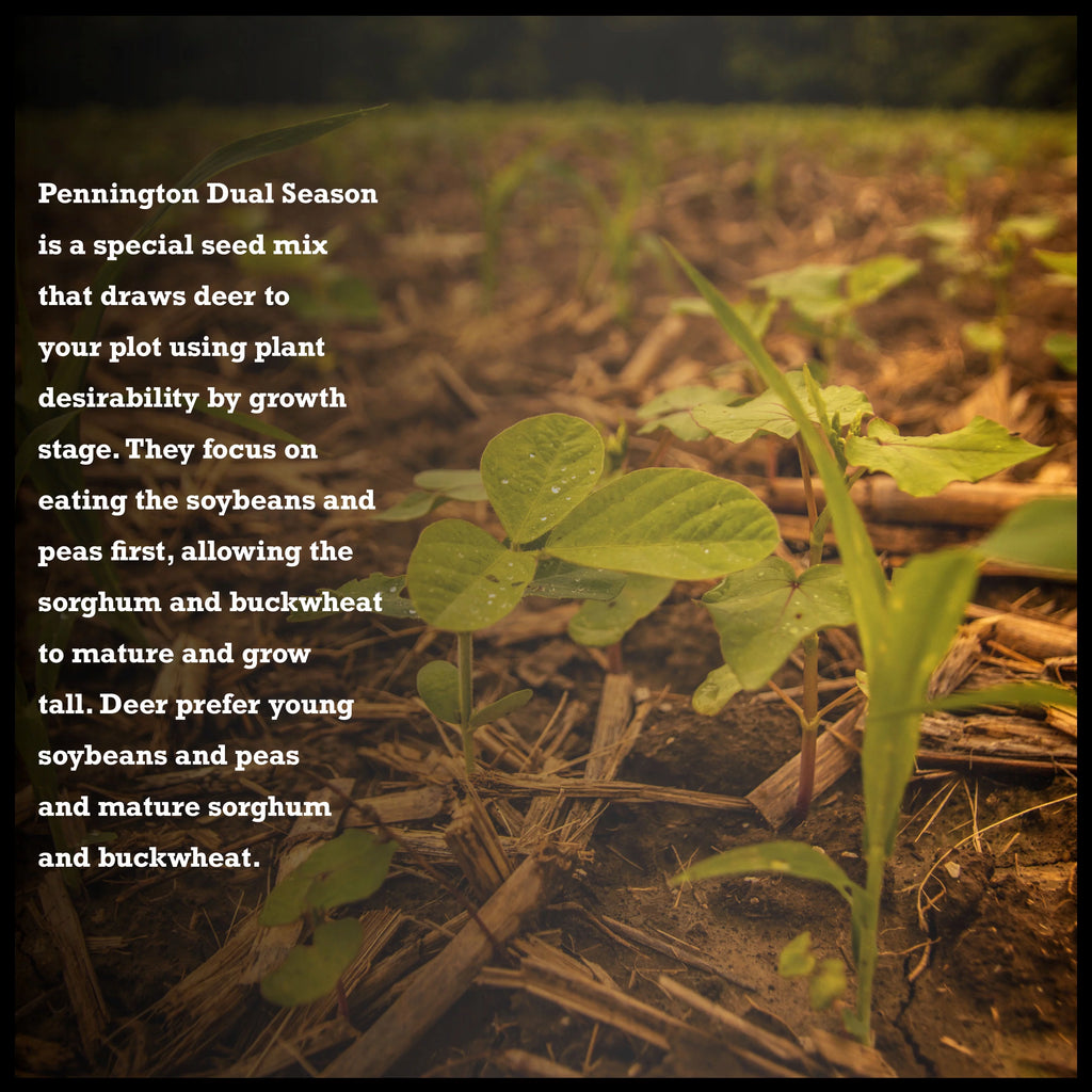 10 lb. Dual Season Food Plot Seed V4207
