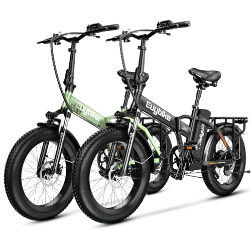 20" Fat Tire 1000W Electric Bike with 48V 20AH Removable Battery H53866