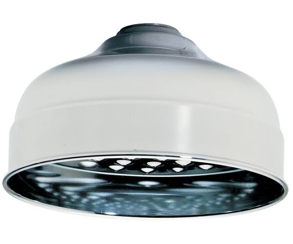 6x22 Shower Rose Q58043