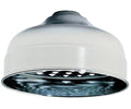 6x22 Shower Rose Q58043