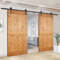 Paneled Wood Double Barn Door Set of 2, Briar Smoke Z97006