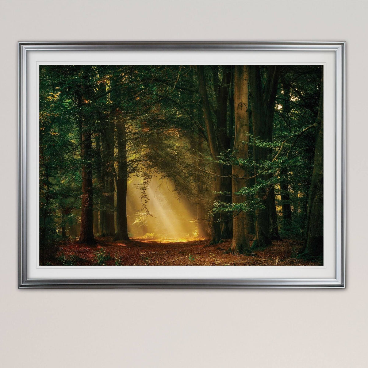Oversized Framed Print Gold Z207