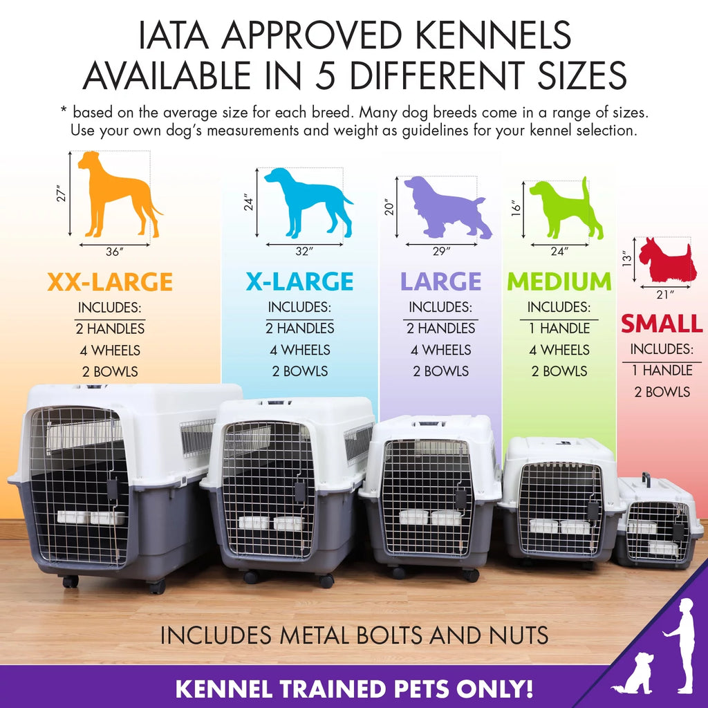 Plastic Dog Airline Approved Kennel Carrier C6322