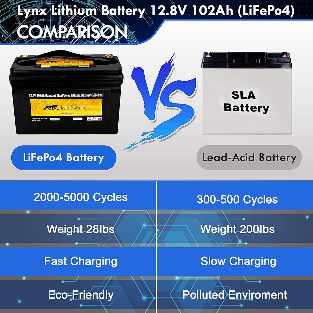 12V 100Ah Lithium Iron Phosphate LiFePO4 Battery with BMS L1669
