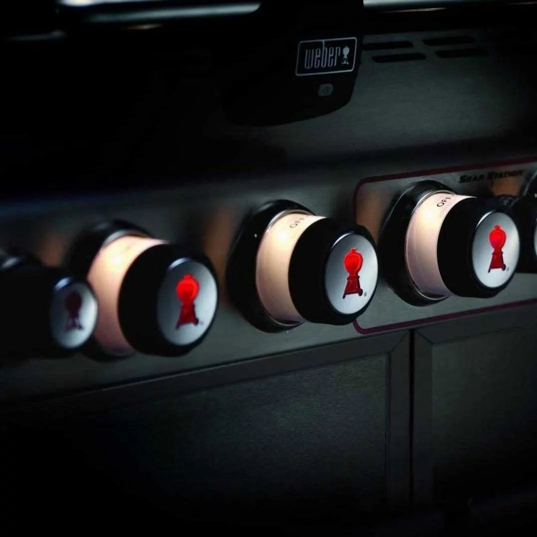 Gas Grill L446