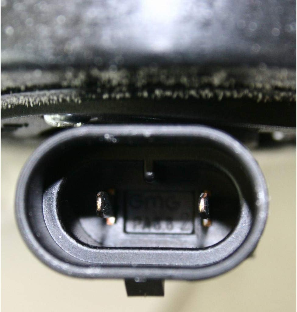 Fog Light Assembly Passenger Side with Bulbs Pack of 2 F358