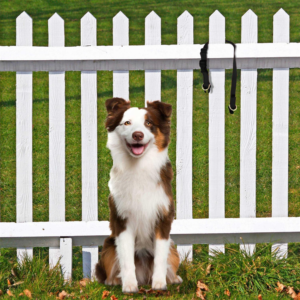 Break-Away Dog Collar W699