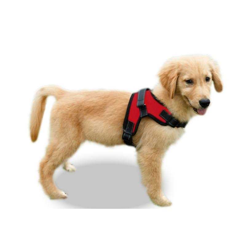 Adjustable Reflective Dog Harness with Handle A6523
