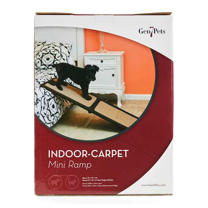 Indoor Carpet Mini Ramp I5547