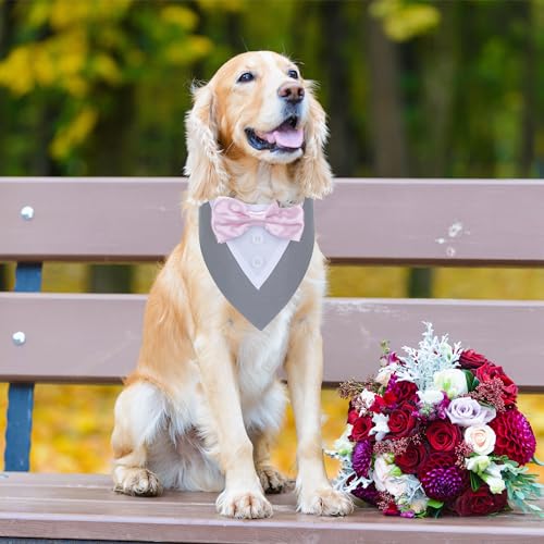 Red Plaid Dog Christmas Collar with Bowtie N30902