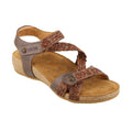 Dark Brown Multi Shoes B71942