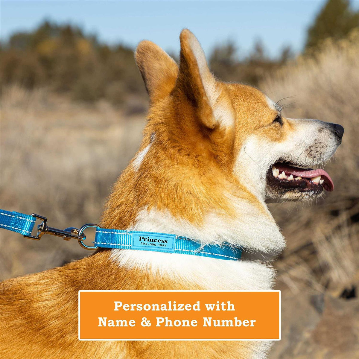 Personalized Dog Collars H169