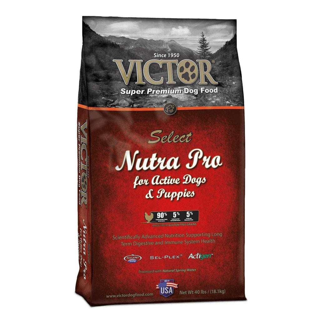 Dog Food I9443