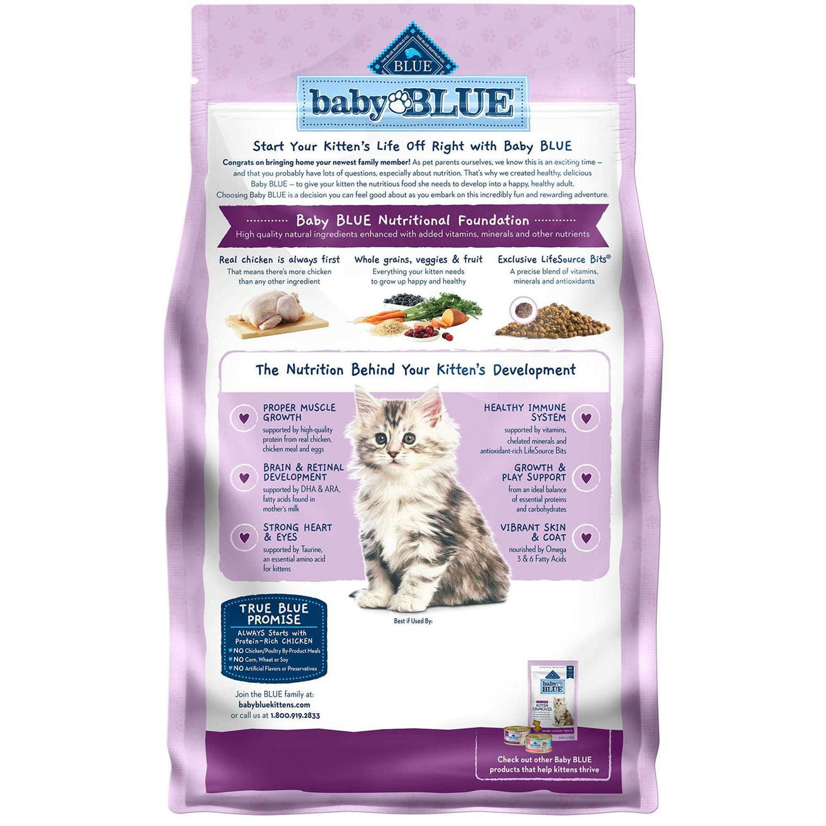 Kitten Dry Cat Food Chicken and Brown Rice T7381
