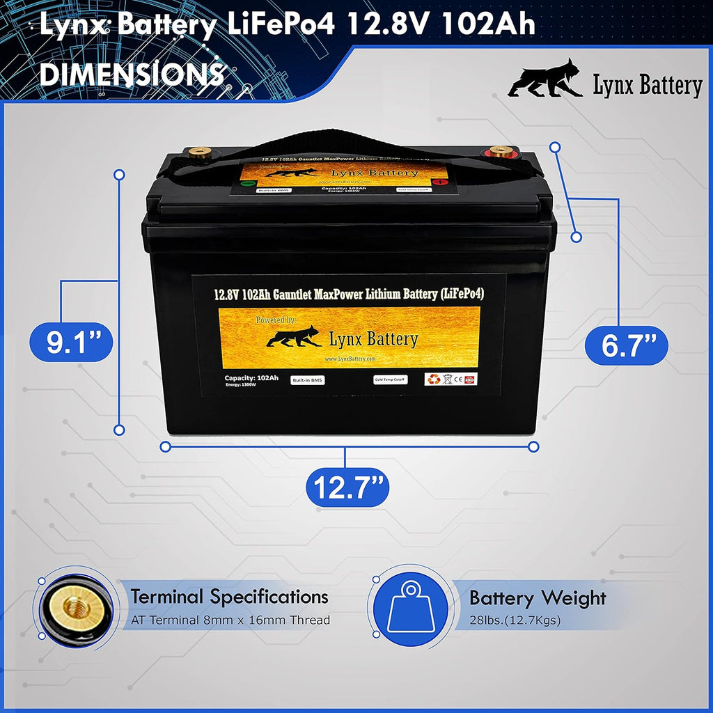 12V 100Ah Lithium Iron Phosphate LiFePO4 Battery with BMS L1669