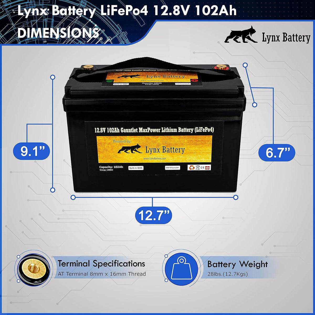 12V 100Ah Lithium Iron Phosphate LiFePO4 Battery with BMS L1669