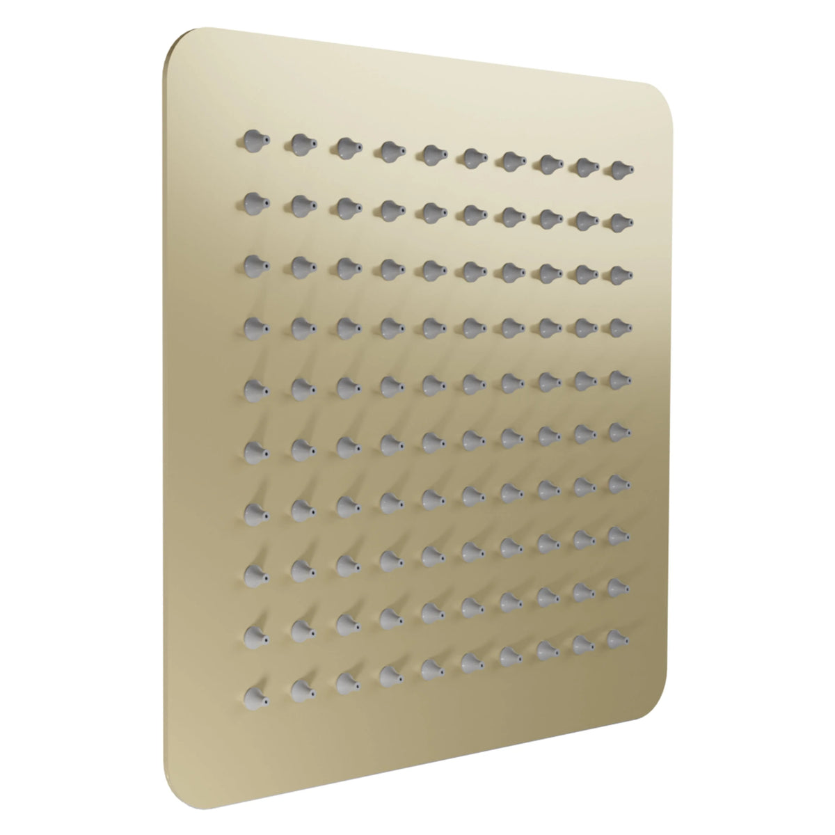 Oversized Shower Head in Champagne Bronze P4623