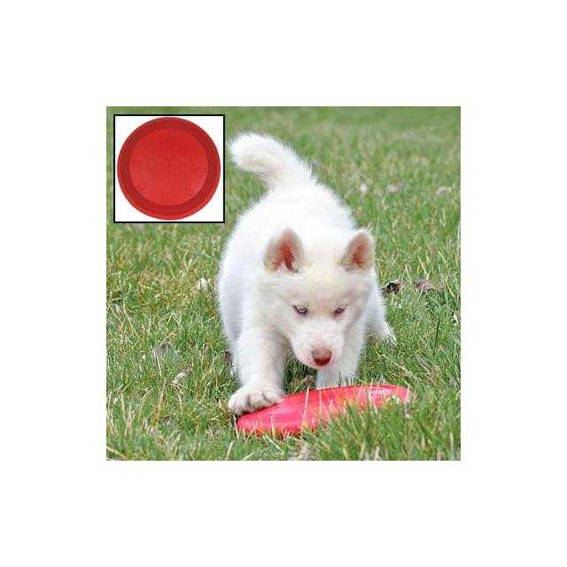 Dog Toy S52877