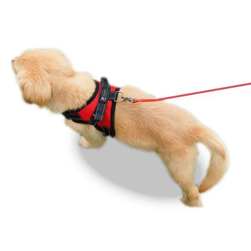 Adjustable Reflective Dog Harness with Handle A6523