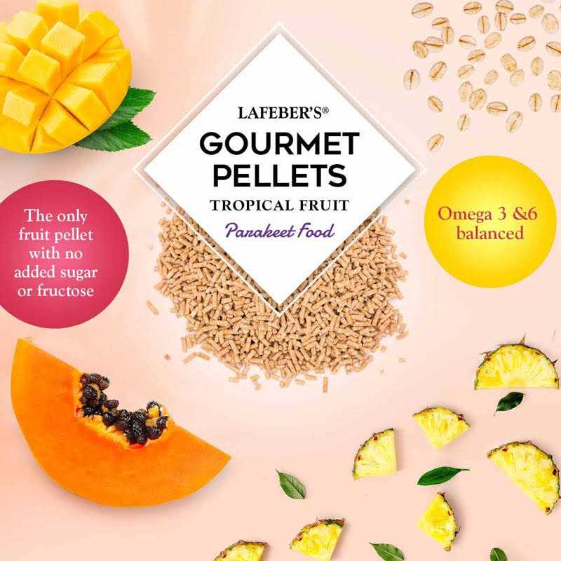 Tropical Fruit Bird Food C7496