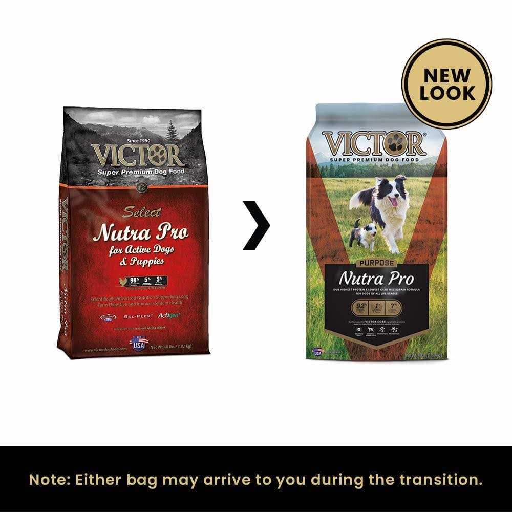 Dog Food I9443